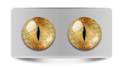 Звериные_20088