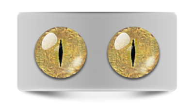 Звериные_20089