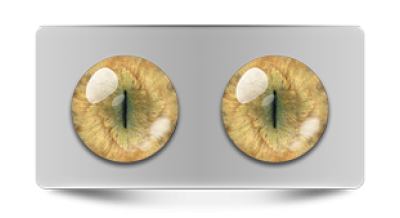 Звериные_20090