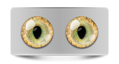 Звериные_20092