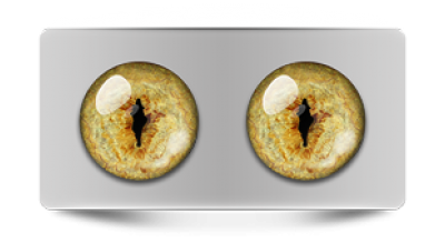 Звериные_20096