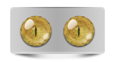 Звериные_20097