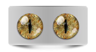 Звериные_20104