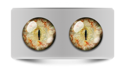 Звериные_20105