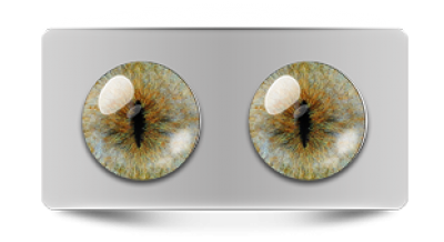 Звериные_20108