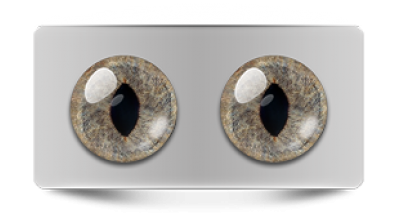 Звериные_20109