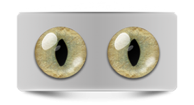 Звериные_20110