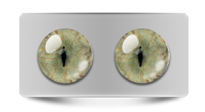 Звериные_20113