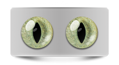 Звериные_20114