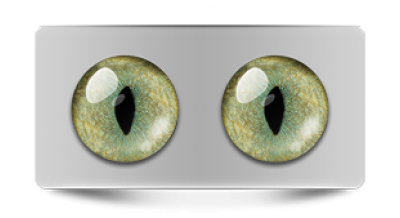 Звериные_20115