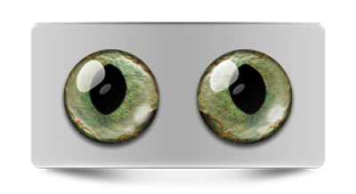 Звериные_20116