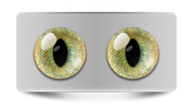 Звериные_20119