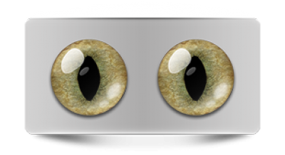 Звериные_20121