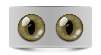 Звериные_20122