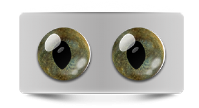 Звериные_20124