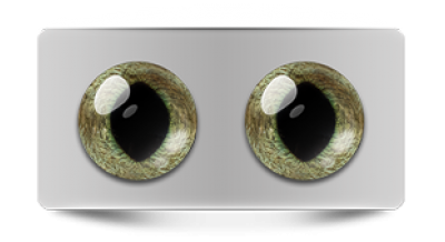 Звериные_20125