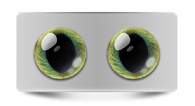 Звериные_20126