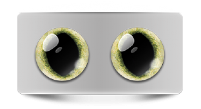 Звериные_20127