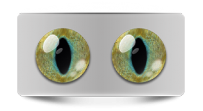 Звериные_20128