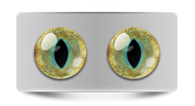 Звериные_20129