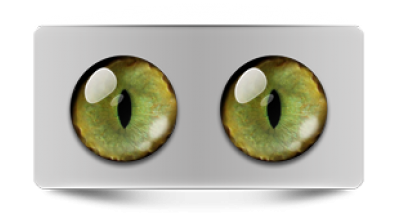 Звериные_20131