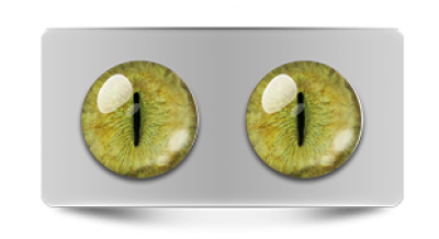 Звериные_20133