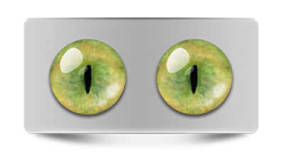 Звериные_20134