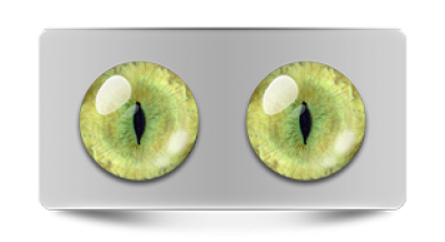 Звериные_20135