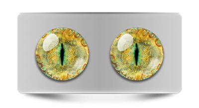 Звериные_20137