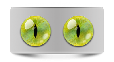 Звериные_20139