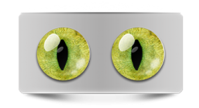 Звериные_20140