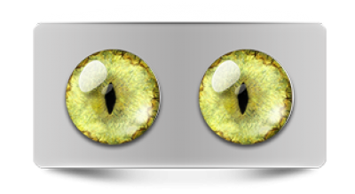 Звериные_20141