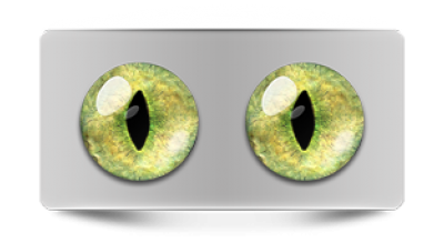 Звериные_20142