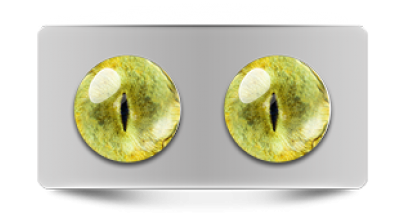 Звериные_20143