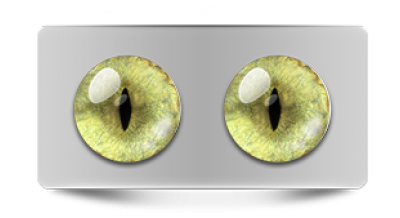 Звериные_20144