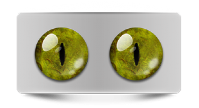 Звериные_20145