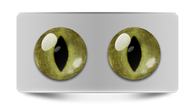 Звериные_20146