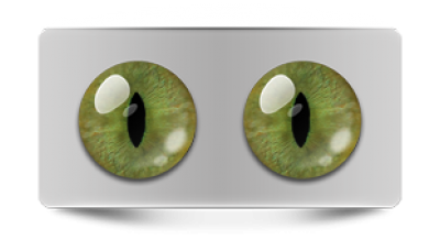 Звериные_20147