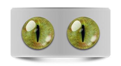 Звериные_20149