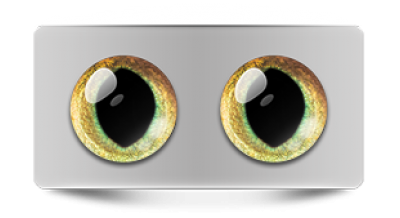 Звериные_20150