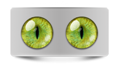 Звериные_20153