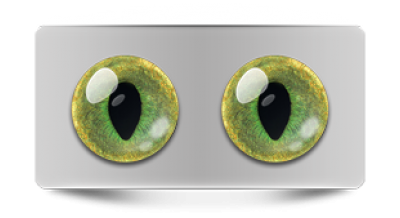 Звериные_20154