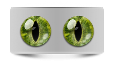 Звериные_20156