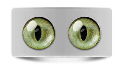 Звериные_20157