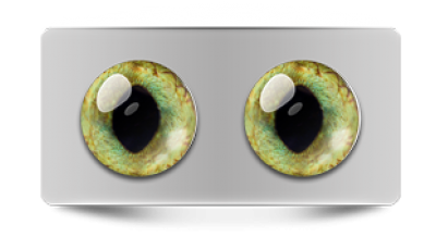 Звериные_20158