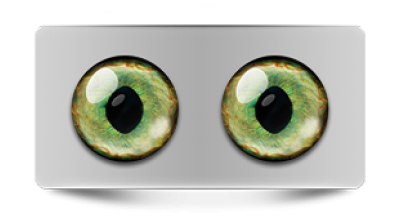 Звериные_20159