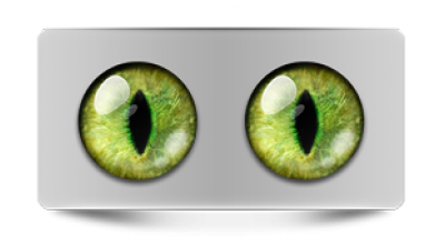 Звериные_20160