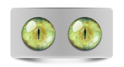 Звериные_20162