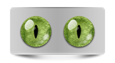 Звериные_20164