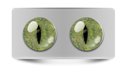 Звериные_20165